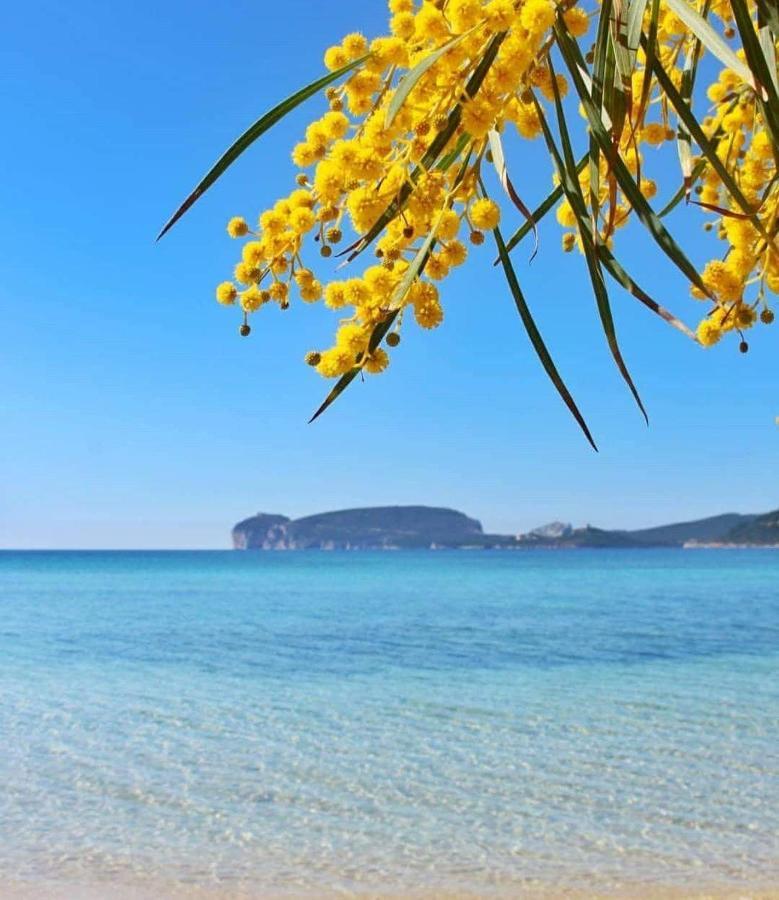 Casa Vacanze Calik Alghero Фертилия Экстерьер фото